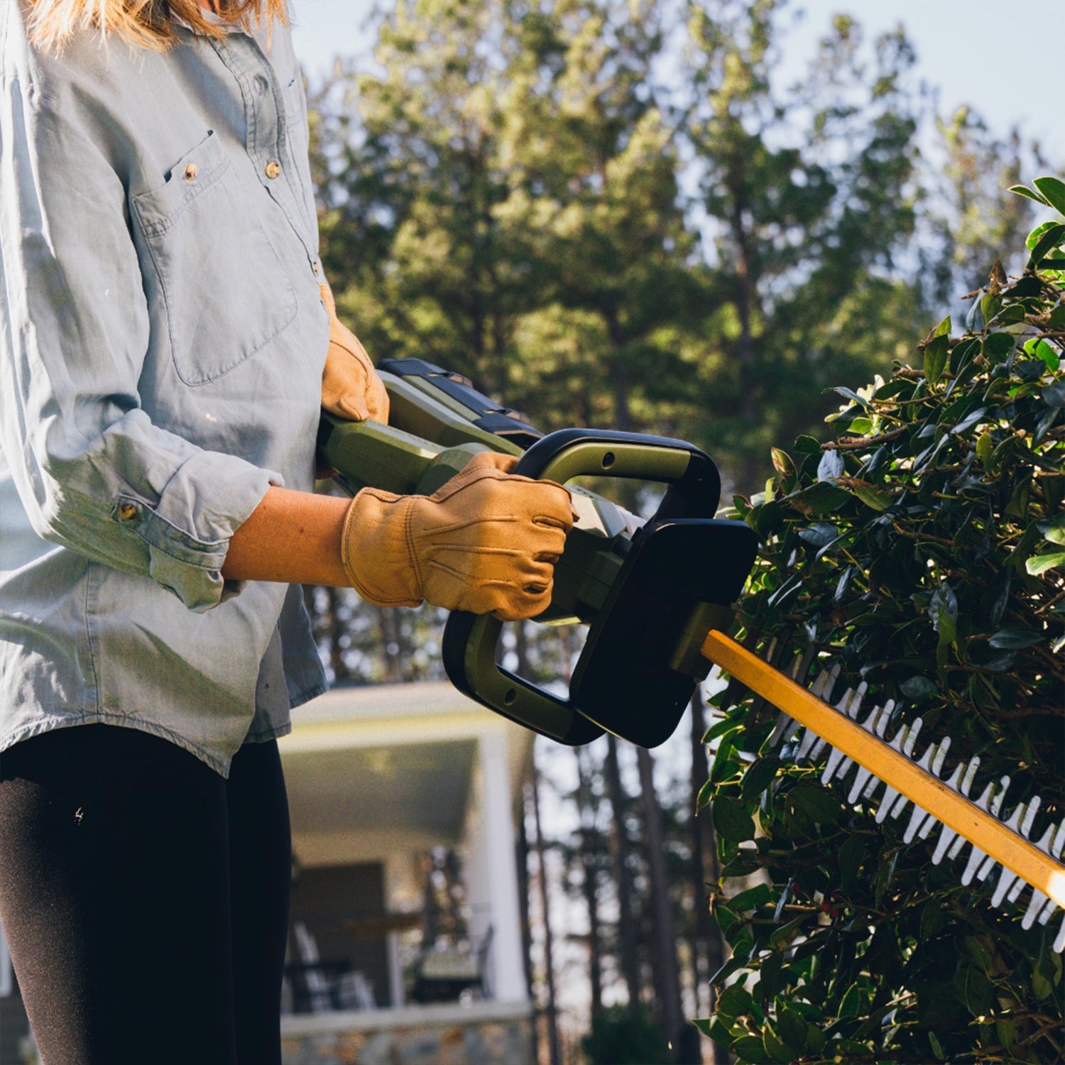 62V Cordless  25" Hedge Trimmer with 2.5 Ah Battery and Rapid Charger