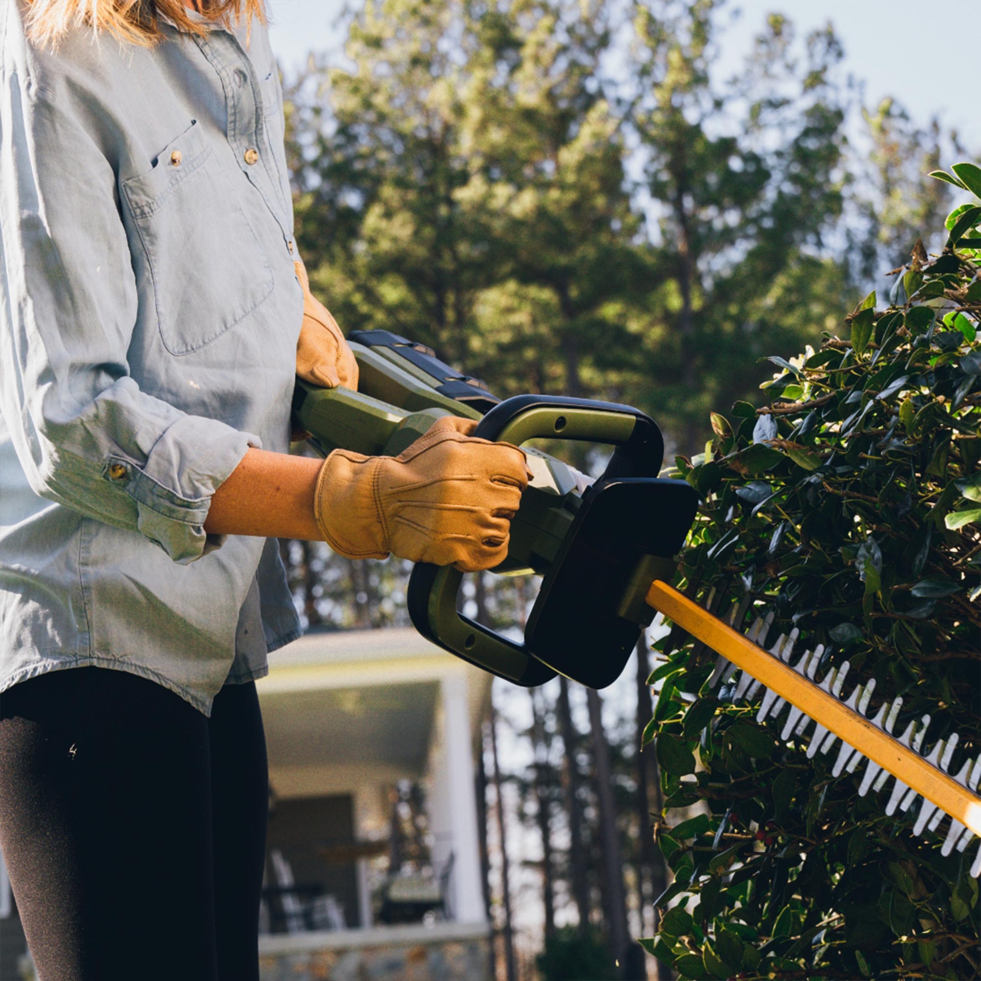 62V Cordless  25" Hedge Trimmer with 2.5 Ah Battery and Rapid Charger